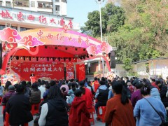 “巳巳如意歡喜年，請到云浮過大年”系列活動啟動